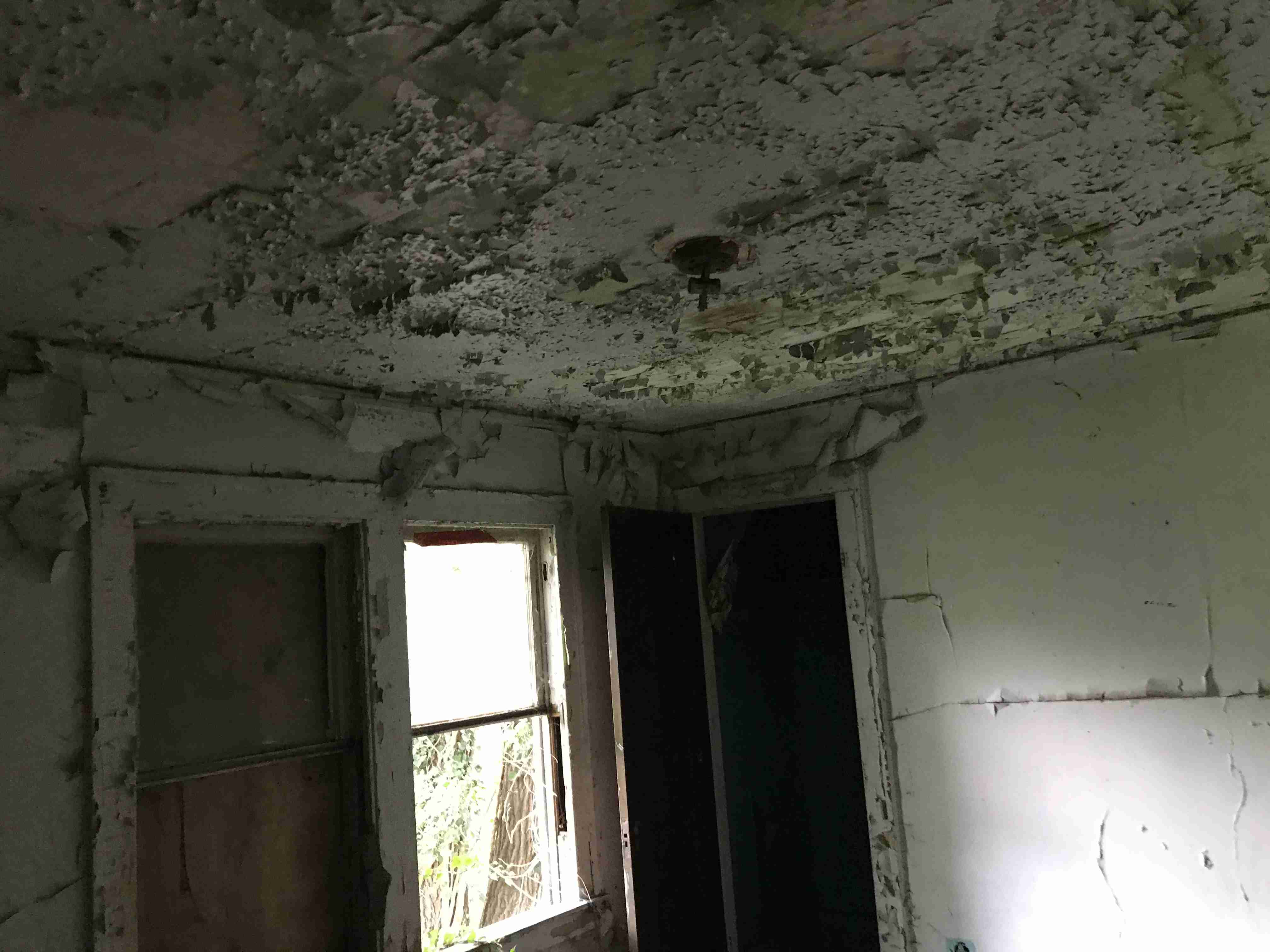 Photo Sep 10, 2 50 52 PM.jpg